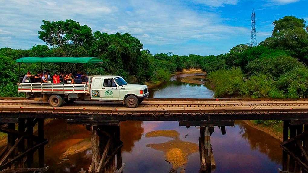 Safari Estrada Parque
